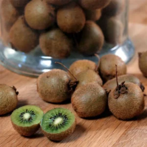 Kiwi Jenny (autofertile) – Actinidia Deliciosa