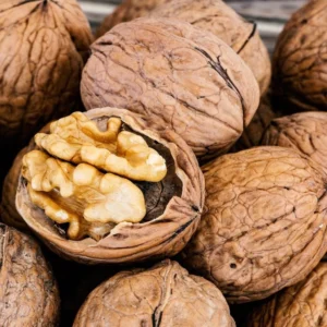 Noyer Commun – Juglans Regia